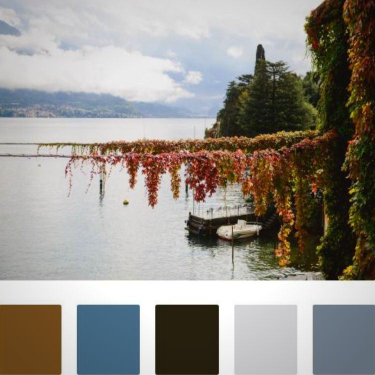 Foliage Lake Como