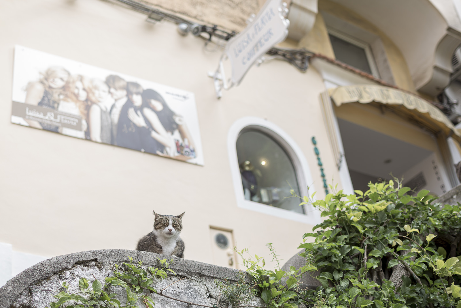 wedding in positano