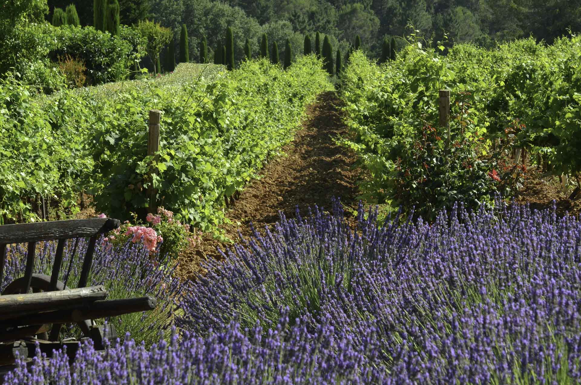 wedding in france