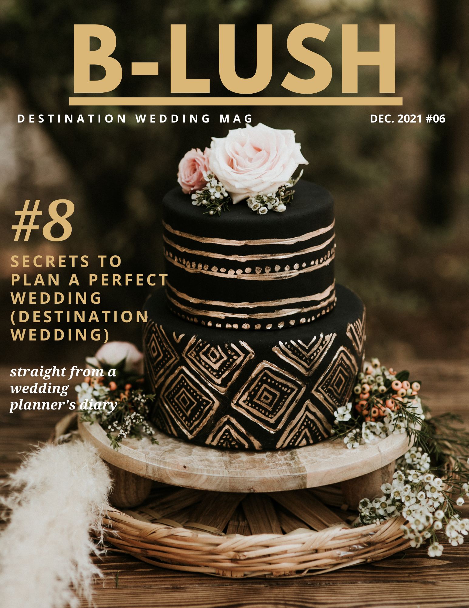 Blush6 destination wedding mag