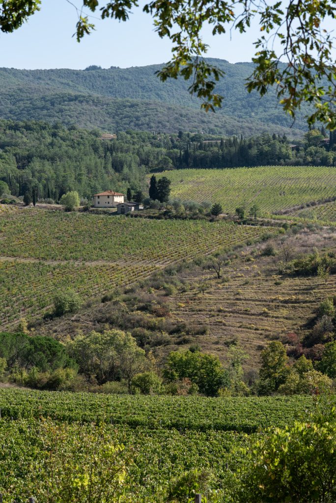 destination wedding in Tuscany